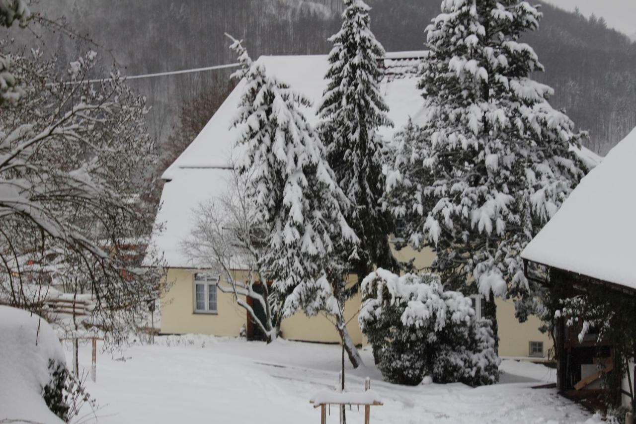 Ferienwohnung In Herrlicher Lage Bad Urach Kültér fotó